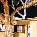 בית נופש Tree House *
