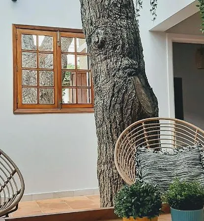Tree House *