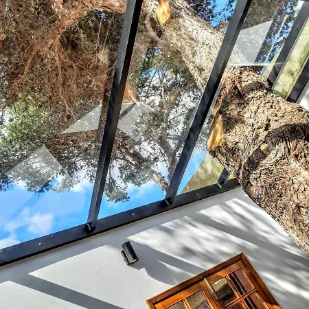 Tree House