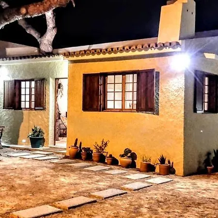 Tree House Сasa de vacaciones *