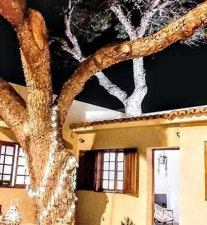 Casa de Férias Tree House *