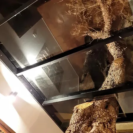 Tree House Casa de Férias