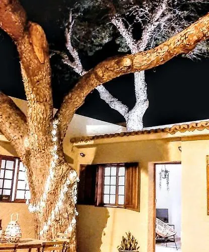 בית נופש Tree House *